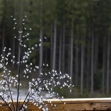 In Neukirchen 100 M Lift * Rosenthal