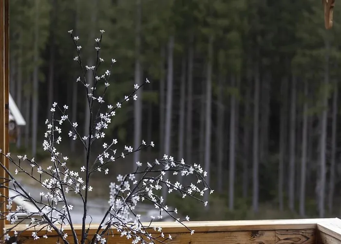 In Neukirchen 100 M Lift * Neukirchen am Großvenediger