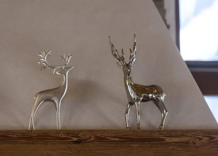 In Neukirchen 100 M Lift Σαλέ